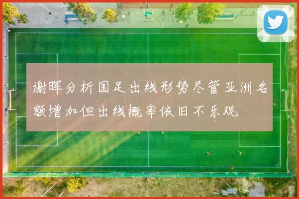 谢晖分析国足出线形势尽管亚洲名额增加但出线概率依旧不乐观