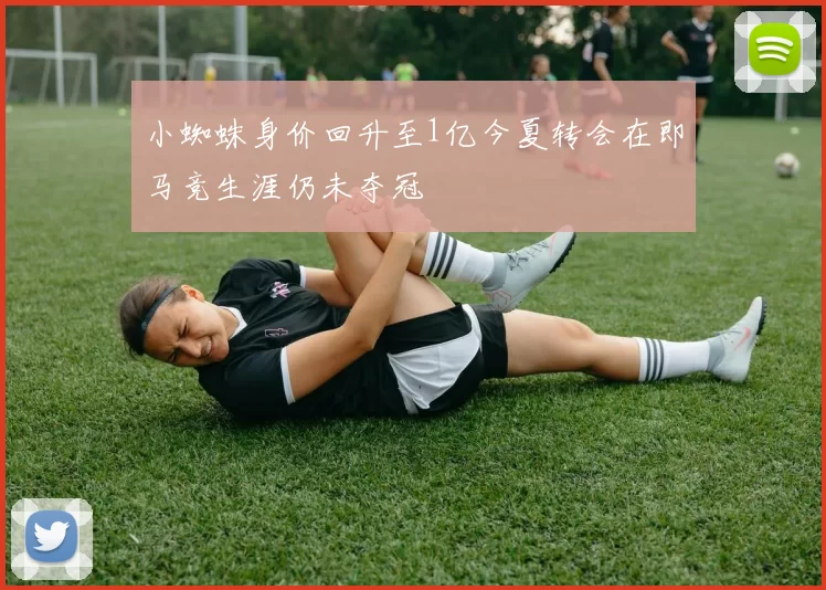 小蜘蛛身价回升至1亿今夏转会在即马竞生涯仍未夺冠