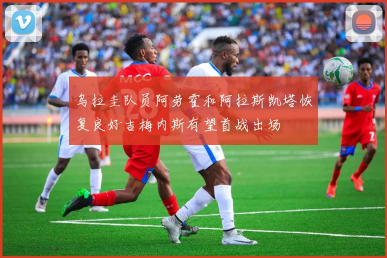 乌拉圭队员阿劳霍和阿拉斯凯塔恢复良好吉梅内斯有望首战出场
