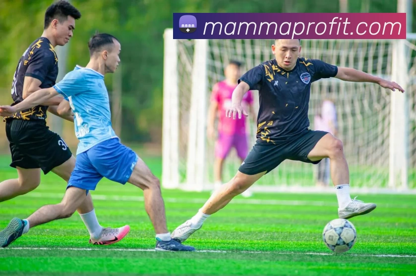 乐鱼体育登录网页入口服务体系